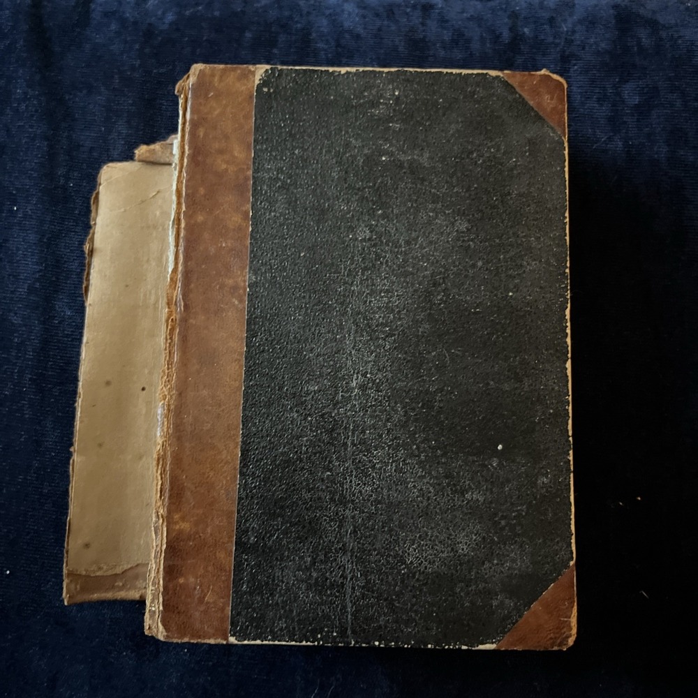 1886 Emile Zola Mestervaerket Danish Antique Book Copenhagen 1st Ed